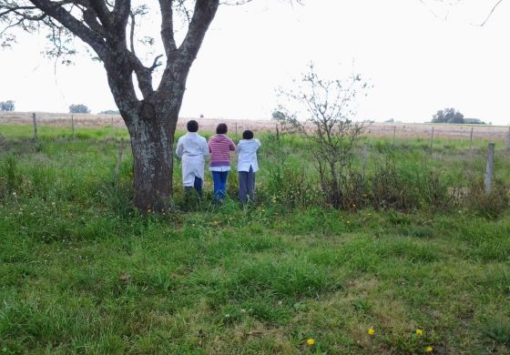 El silencioso genocidio de los Don Nadies