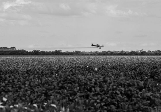 Crónica de una muerte evitable