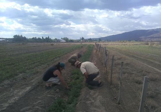 “No necesitamos minería, necesitamos alimento”