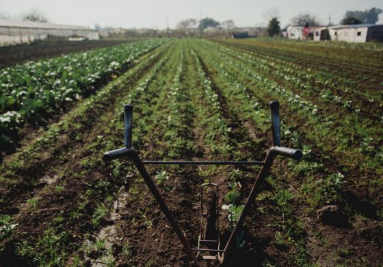 Agroecología para revertir la devastación del Medio Ambiente