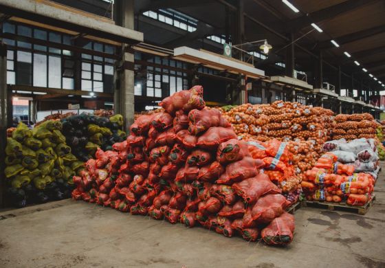 “La producción de alimentos creció un 300% pero el hambre aumenta”