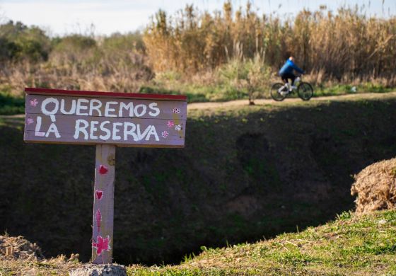 Verde esperanza en medio del cemento