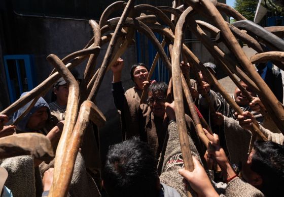 Por qué Elías Garay no será la última muerte mapuche