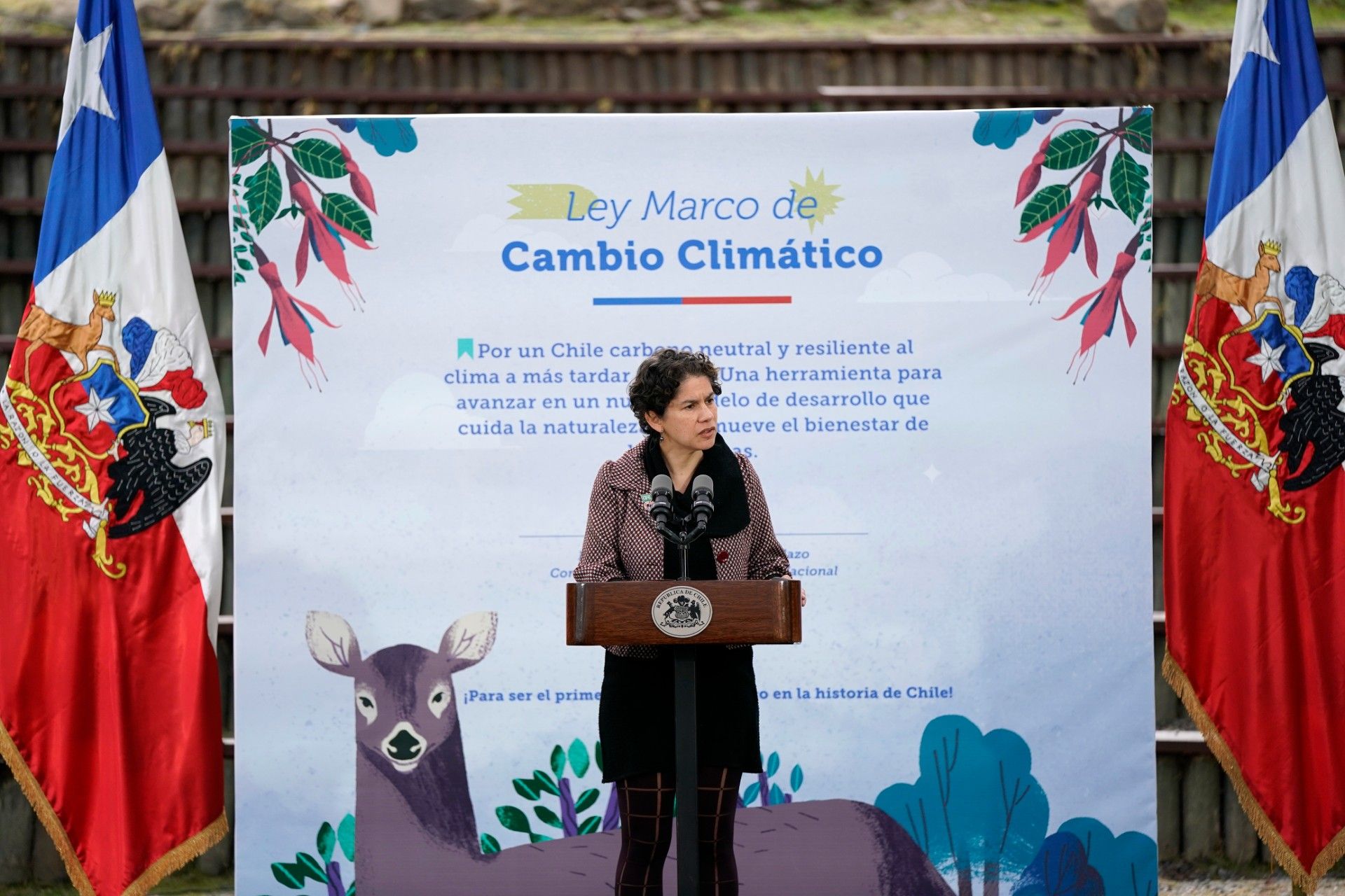 La ministra de Medio Ambiente, Maisa Rojas, durante la promulgación de la Ley Marco de Cambio Climático. (Foto: Alex Ibañez)