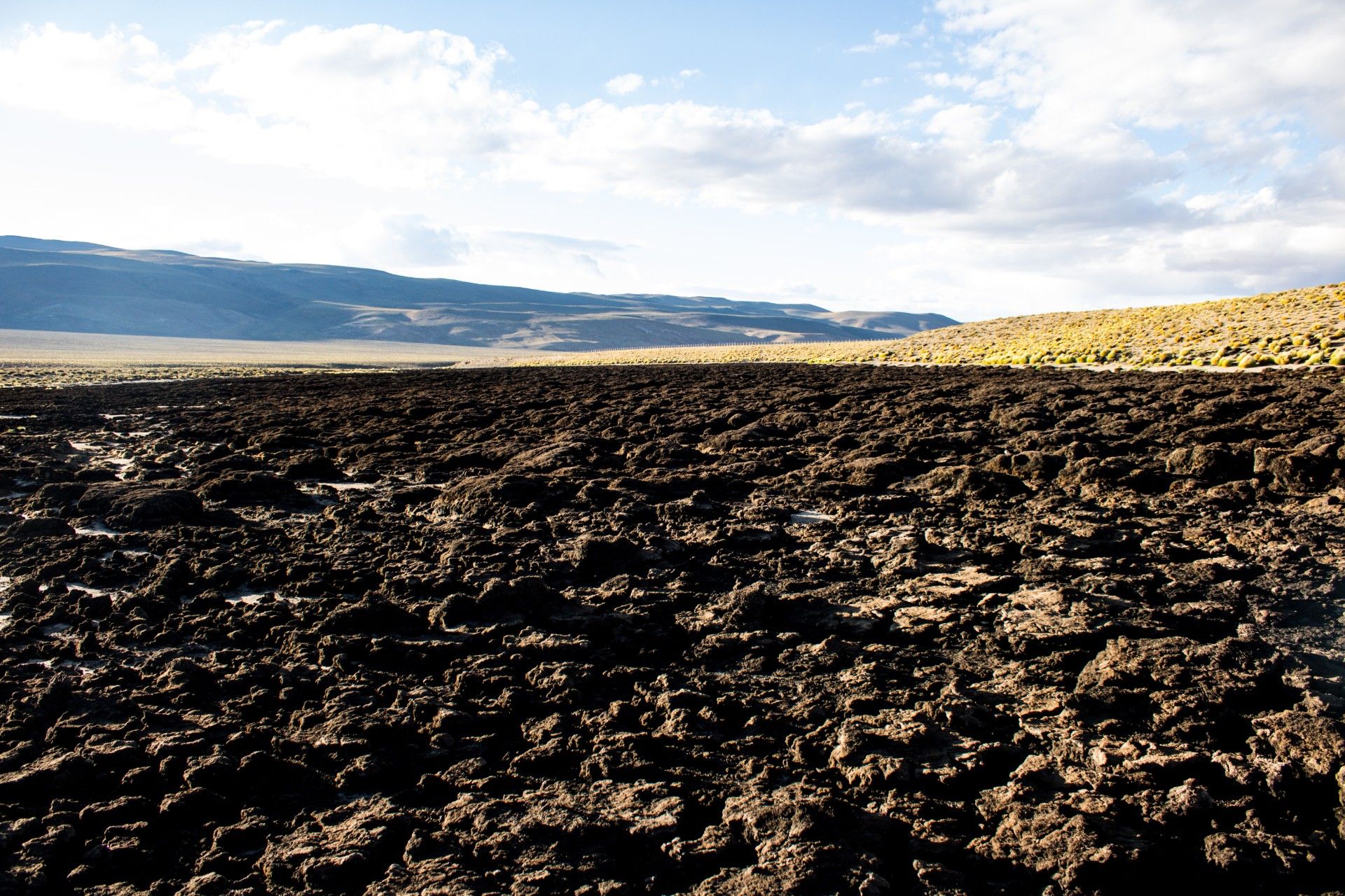 Vega seca del río Trapiche.