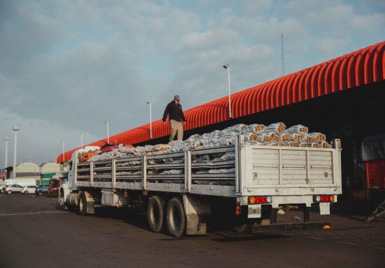 Un aporte del campo que alimenta para bajar la inflación