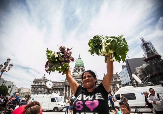 El alimento al centro de la escena