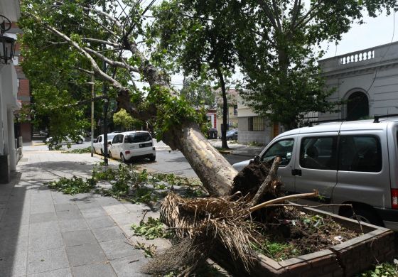 “Los sectores más empobrecidos son los primeros damnificados de la crisis climática”