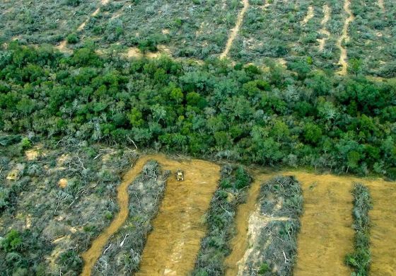 DNU y Ley Ómnibus: Argentina no es un experimento a cielo abierto