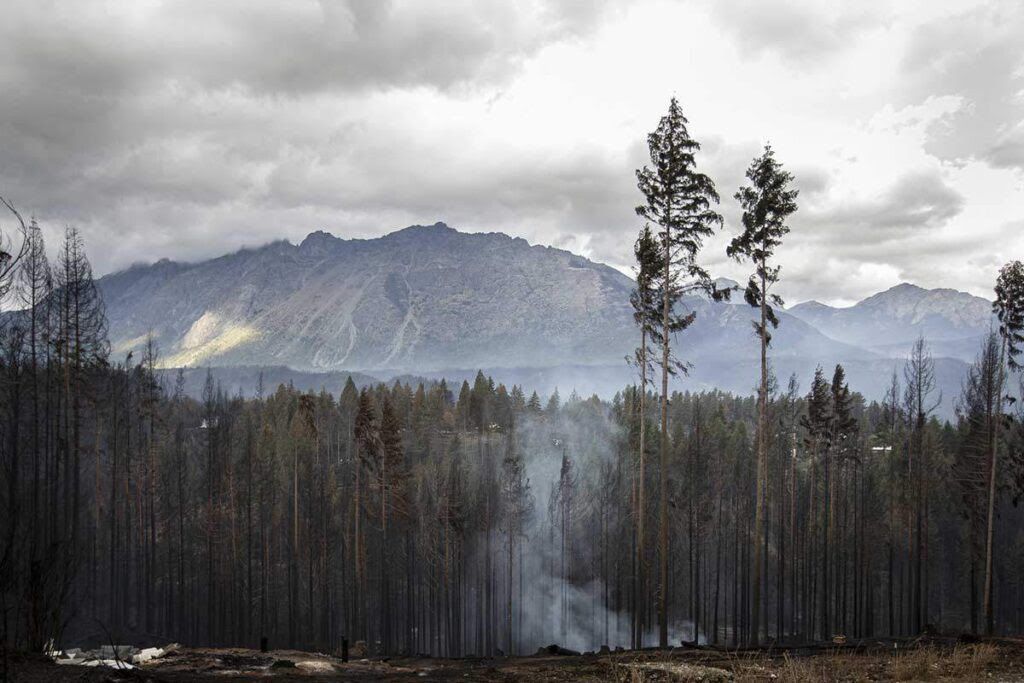 Incendio en Lago Puelo. Incendios en La Comarca: el rol de empresas forestales, inmobiliarias y minerasFoto: LUAN - Colectiva de Acción Fotográfica