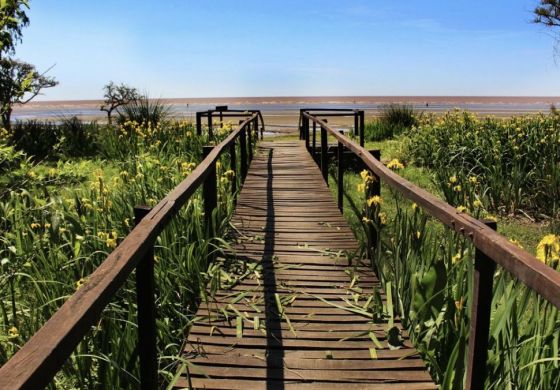 Buenos Aires gratis al aire libre: tres parques que funcionan como plan completo